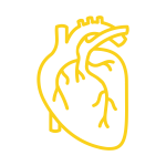 icona-polmone_Tavola disegno 1